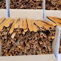 Split cassia Yen Bai quality