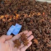 Spring Star Anise