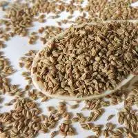 Ajwain / Carom Seeds