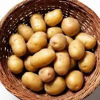Potato