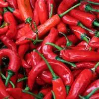 Red Chili