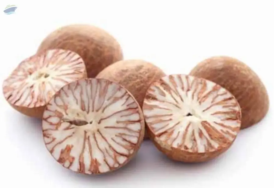 Betel Nut