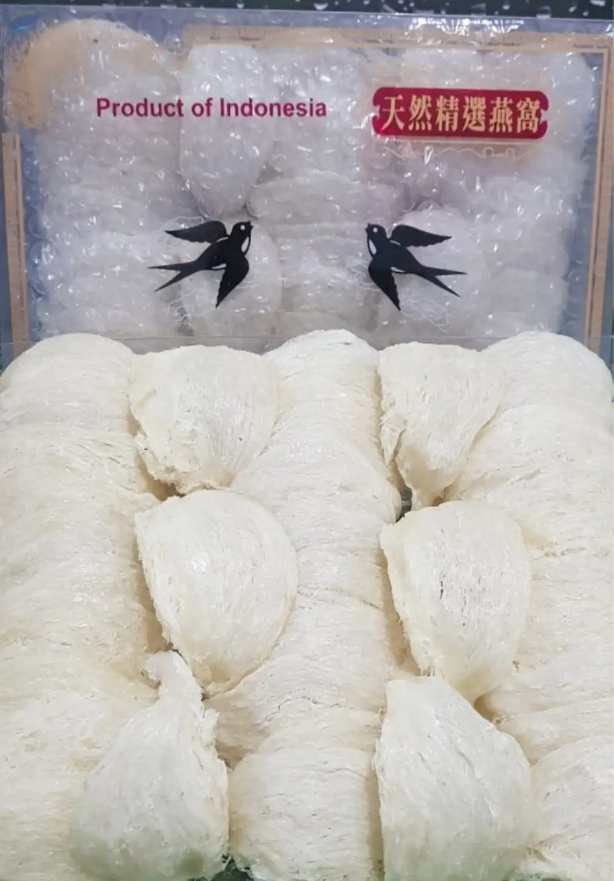 Bird Nest