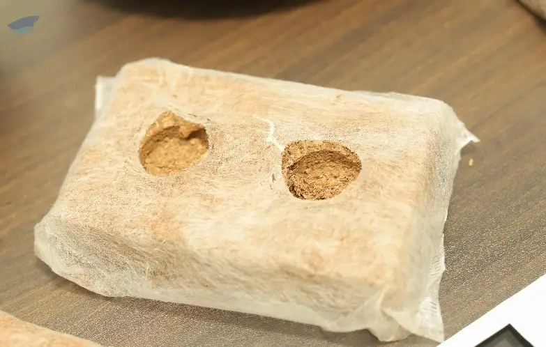 Nikili Coco Grow Cube