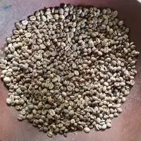 Coffee , coffee bean, luwak coffee
