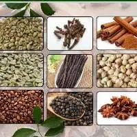 Spices 