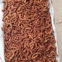 Tamarind