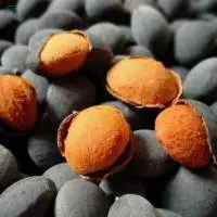 Velvet Tamarind Charcoal