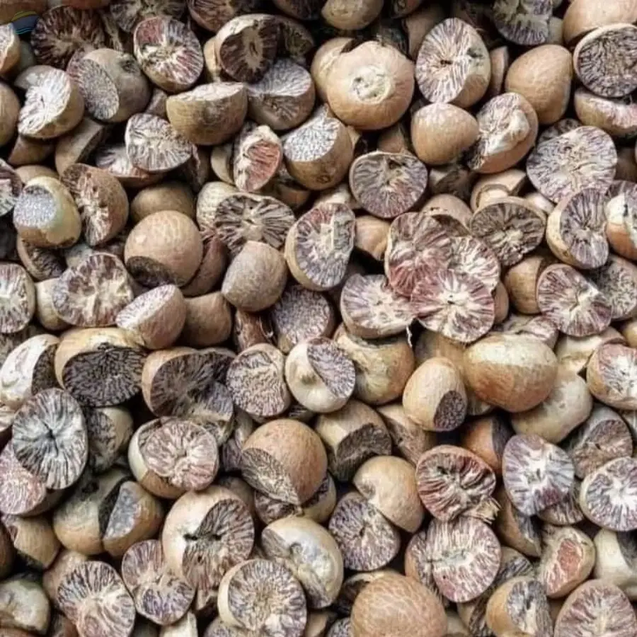 Betel Nut