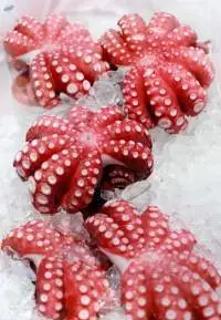 Octopus Flower Type