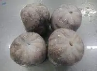 Octopus Ball Type