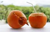 King Coconut