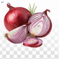 Onion