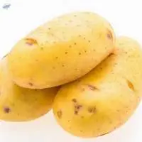 Potato