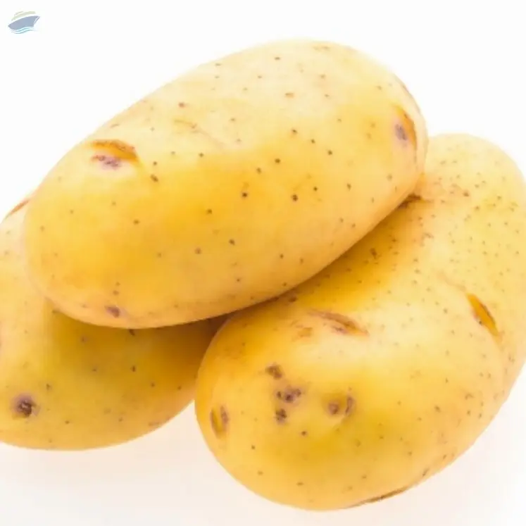 Potato