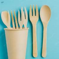Disposable Cutlery