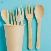 Disposable Cutlery