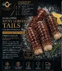Premium Spiny Lobster Tail Export