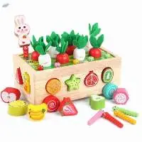 Wooden Craft And Toys