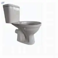 White Western Toilet