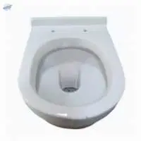 White Western Toilet Seat