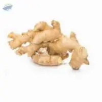 Ginger