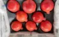 Pomegranate