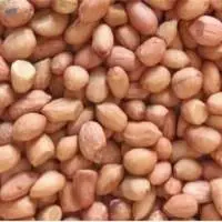 TJ Peanuts