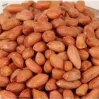Bold Peanuts
