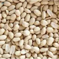 Blanched Peanuts