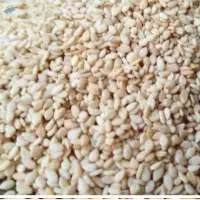 Natural sesame seeds