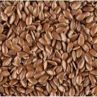 Flax Seeds