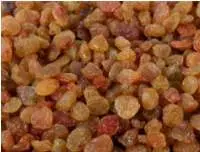 MALAYAR Raisins