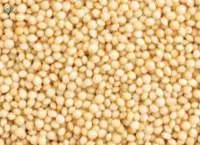 Amaranth