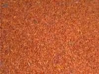 Asaliya Seeds