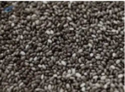 Chia Seeds