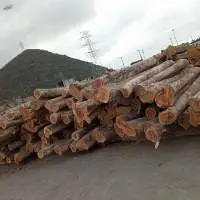 Wood