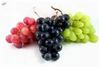 Fresh Grapes