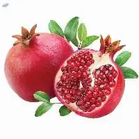 Fresh Pomegranate