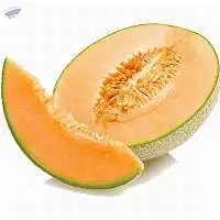 Fresh Cantalope