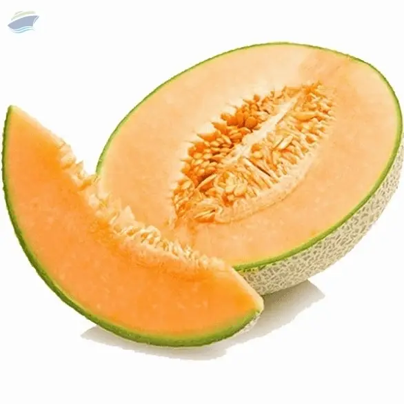 Fresh Cantalope