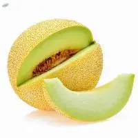 Fresh Melon