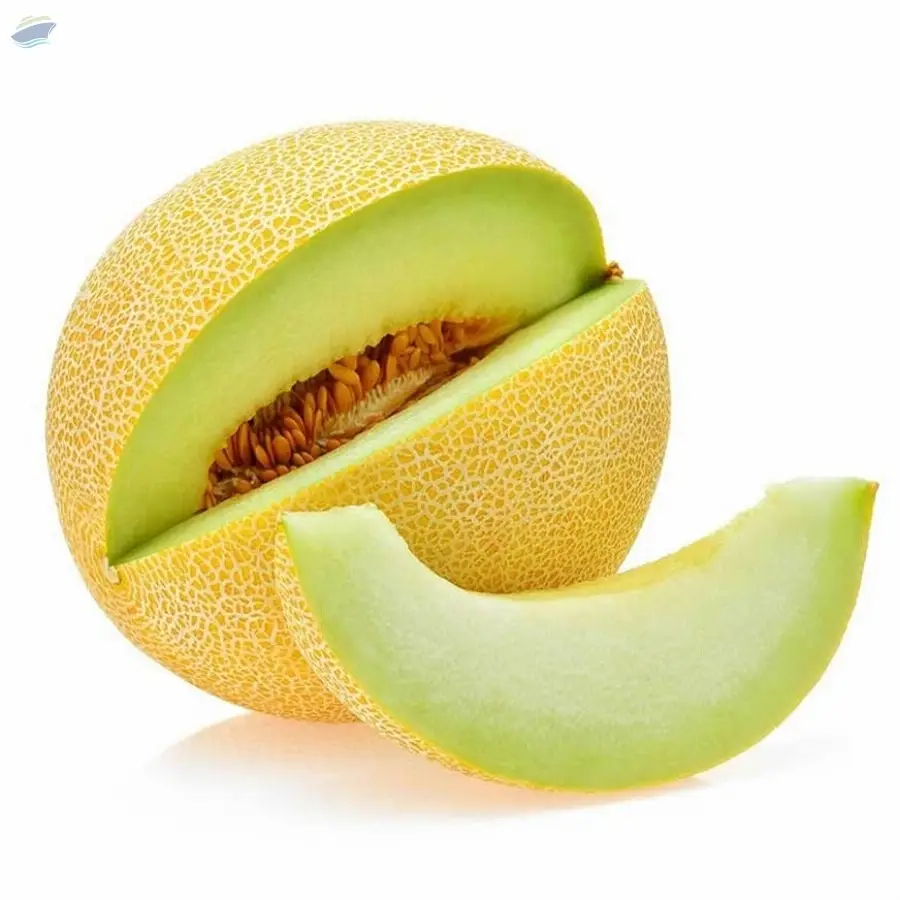 Fresh Melon