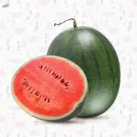 Fresh Watermelon