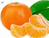 Fresh Mandarin