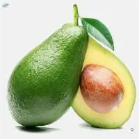 Fresh Avocado