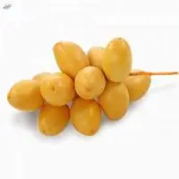 Fresh Dates