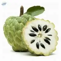 Fresh Custardapple