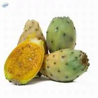 Fresh Pricklypear