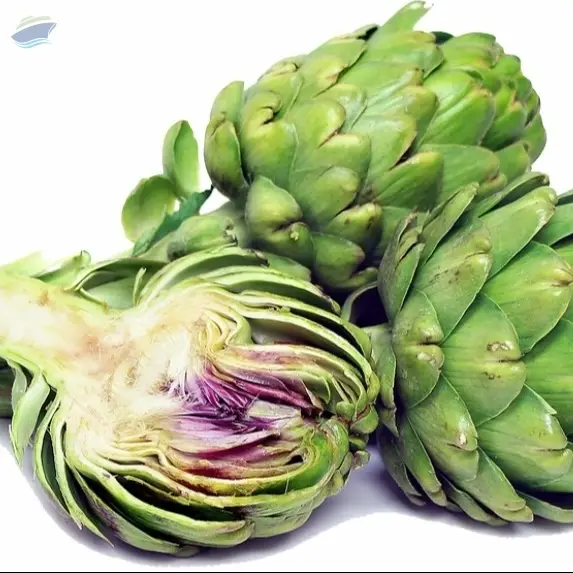 Fresh Artichoke
